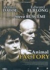 Animal Factory (2000)4.jpg